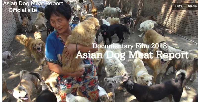 Ms. Yang Xiaoyun saving dogs from the meat trade in China (http://www.adg-theater.com/asiandogs/english/)